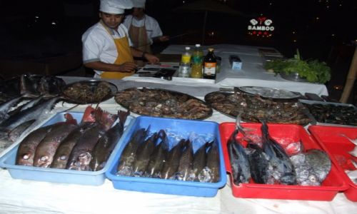 Zdjecie INDIE / Goa / plaa / fishes