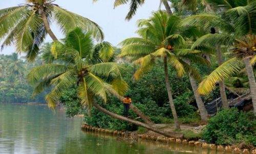 Zdjecie INDIE / Goa / Goa / Goa