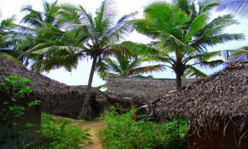Zdjecie INDIE / Goa / Goa / Goa