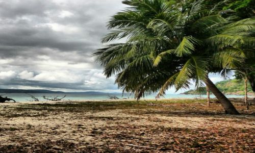 Zdjęcie INDIE / Andaman Islands / Jolly Buoy / pt