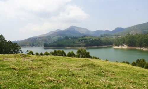 Zdjecie INDIE / Kerala / Munnar / INDIE