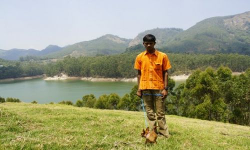 Zdjecie INDIE / Kerala / Munnar / Chihuahua w Indiach