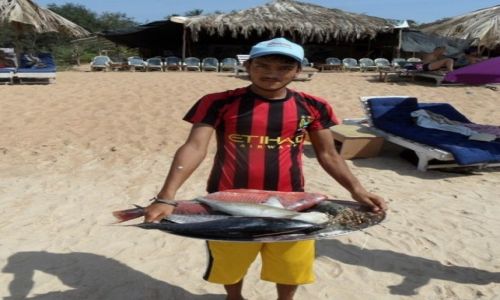 Zdjcie INDIE / Goa / Calangute / moje Goa