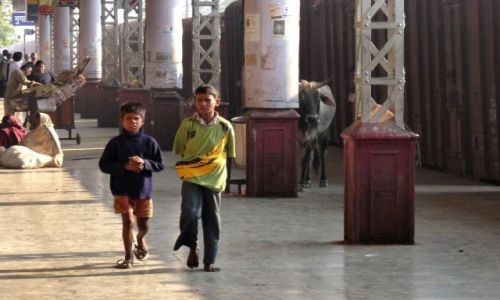 Zdjęcie INDIE / Uttar Pradesh / Mughal Sarai / Krowa na dworcu