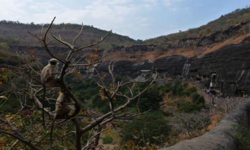 Zdjęcie INDIE / Maharasztra / Ajanta / Ajanta Caves