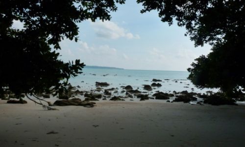 Zdjęcie INDIE / Andamany  / Havelock / Plaża