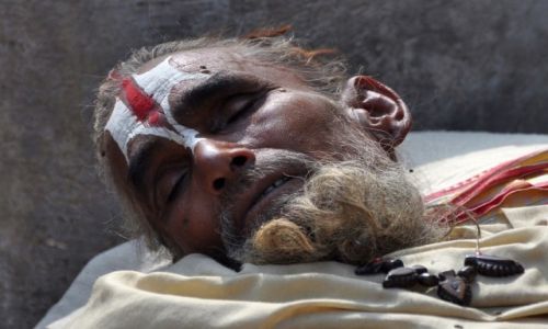 Zdjecie INDIE / UttarPradesh / Varanasi / piacy sadhu