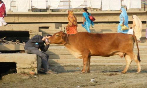 Zdjecie INDIE / - / Varanasi / moje Indie 1 konkurs