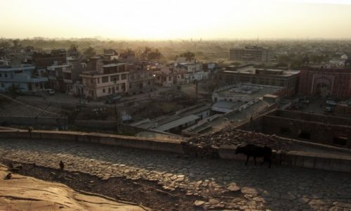 Zdjecie INDIE / Rad�astan / Jaipur / R�owe miasto -Konkurs
