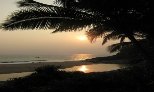 Zdjecie INDIE / Kerala / Kovalam / Konkurs