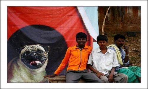 Zdjęcie INDIE / Karnataka / Mysore / Konkurs Indie