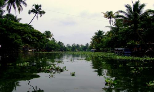 Zdjecie INDIE / Kerala / Rozlewiska / Rozlewiska Kerali