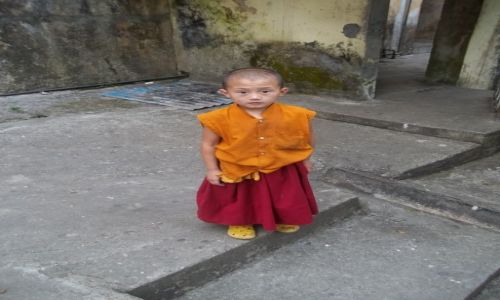 Zdjecie INDIE / Gangtok - Sikkim / Do Drul Chorten Monastery / Konkurs