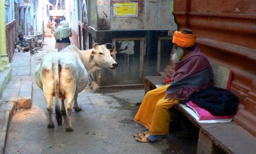 Zdjecie INDIE / Uttar Pradesh / Waranasi / Konkurs Indie
