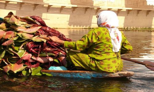 Zdjęcie INDIE / Kashmir - Srinagar / Jezioro Dal , Sikkara / transport na jeziorze Dal