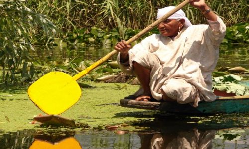 Zdjecie INDIE / Kashmir - Srinagar / Jezioro Dal , Sikkara / transport na jeziorze Dal