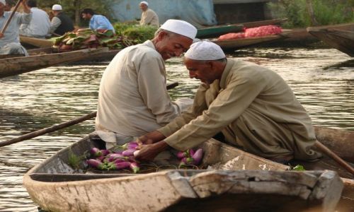 Zdjęcie INDIE / Kashmir - Srinagar / Jezioro Dal , Sikkara / na targu o świcie
