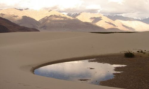 Zdjecie INDIE / Kashmir -  / Ladakh -dolina Nubra / pustynia w dolinie Nubra 