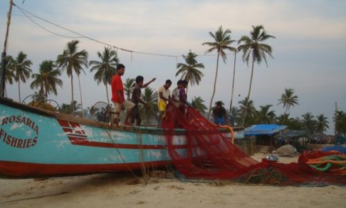Zdjcie INDIE / goa / colva / powrt z poowu