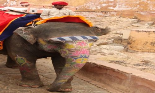 Zdjęcie INDIE / Jaipur / Ford Amber / ...bo słoń musi sie prezentowac :)