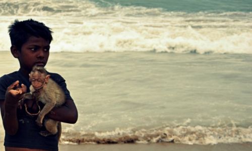 Zdjecie INDIE / Tamilnadu / Chennai / Marina Beach