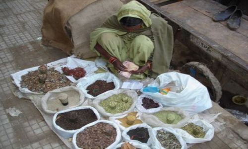 Zdj�cie INDIE / Punjab i Haryana / Delhi / pieni�dze na drog�