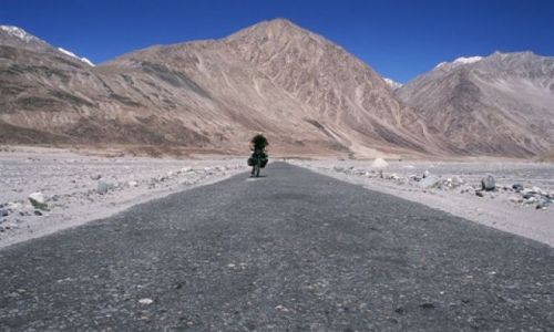 Zdjecie INDIE / Ladakh / Dolina Nubra / Walczący z wiatrami