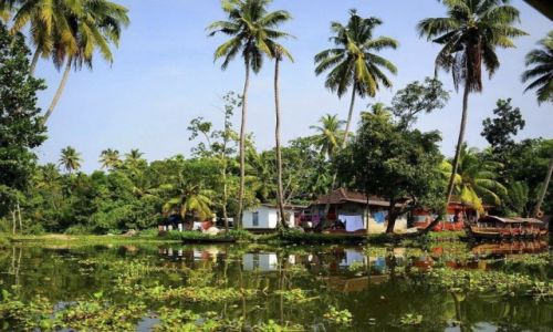 Zdjcie INDIE / - / Kerala / Backwaters
