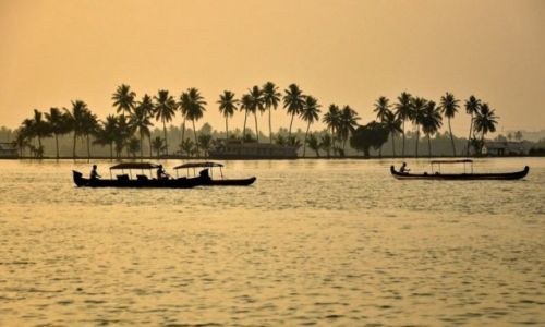 Zdjcie INDIE / - / Kerala / Backwaters
