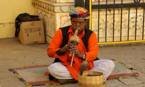 Zdjecie INDIE / - / Jaipur / INDIE