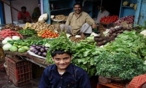 Zdjecie INDIE / Uttar Pradesh i Uttaranchal / Agra / Wegetarianizm  to rado