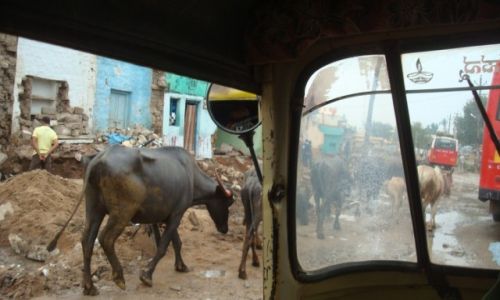 Zdjecie INDIE / karnataka / hospet / Z okien tuk tuka