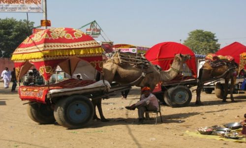 Zdjcie INDIE / rajasthan / pushkar / pushkar