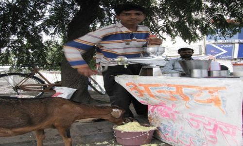 Zdjcie INDIE / stan Maharashtra / Aurangabad / scenki uliczne