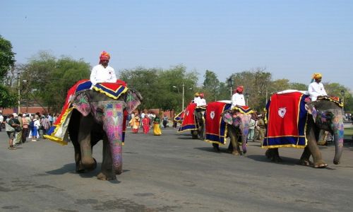 Zdjecie INDIE / Radastan / Dajpur / obchody wita Holi