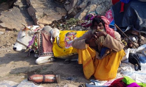 Zdjecie INDIE / Radastan / Jaipur  okolice / 