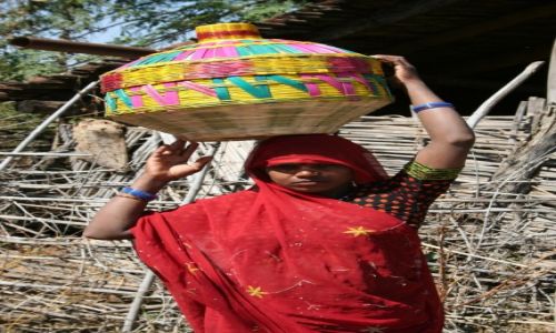 Zdjcie INDIE / Madhya Pradesh / Tala / Cay wiat na gowie