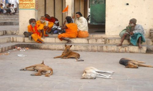 Zdjecie INDIE / Uttar Pradesh / Waranasi / Kady ma swoje miejsce