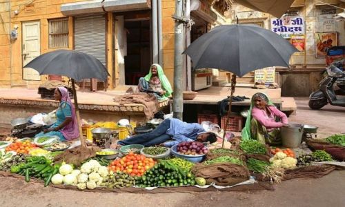Zdjęcie INDIE / Rajasthan / Jodhpur / czas na drzemkę...