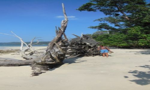 Zdjęcie INDIE / Andamany / Havelock / Andamans