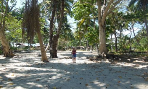 Zdjcie INDIE / Andamany / Havelock, Elephant Beach / Andamans