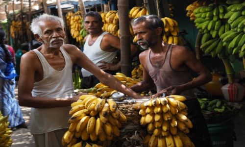 Zdjecie INDIE / Tamil Nadu / Madurai / Targ bananw