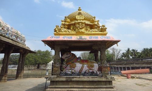 Zdjcie INDIE / Tamil Nadu / Kanchipuram / pojazd Sziwy - Nandin