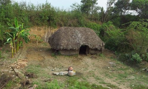 Zdj�cie INDIE / Tamil Nadu / Kanchipuram - Pondicherry / wiejska chata