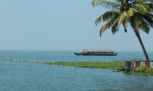 Zdjcie INDIE / Kerala / Alleppey  / Indie - Kerala