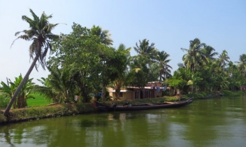 Zdjcie INDIE / Kerala / okolice Allepey / rozlewiska Kerali