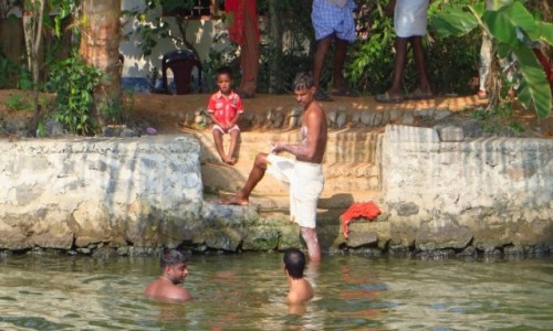 Zdjcie INDIE / Kerala / okolice Allepey / popoudniowa kpiel