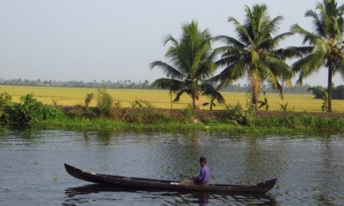 Zdjcie INDIE / Kerala / okolice Allepey / rozlewiska Kerali
