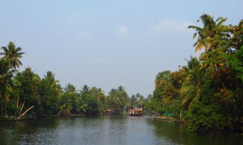 Zdjcie INDIE / Kerala / okolice Allepey / rozlewiska Kerali