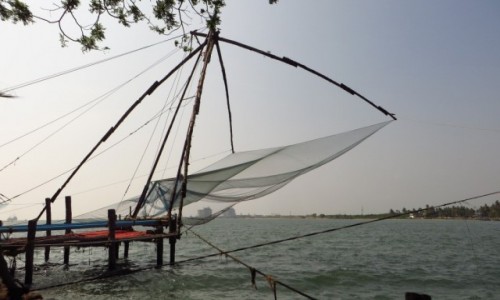 Zdjcie INDIE / Kerala / Cochin / chiska sie